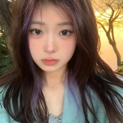 蝴蝶公墓 海报